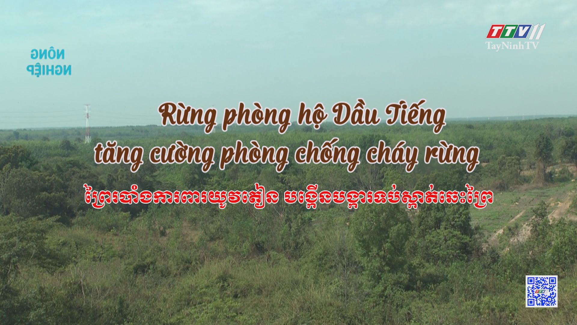 Rừng phòng hộ Dầu Tiếng tăng cường phòng chống cháy rừng | NÔNG NGHIỆP TÂY NINH | TayNinhTV